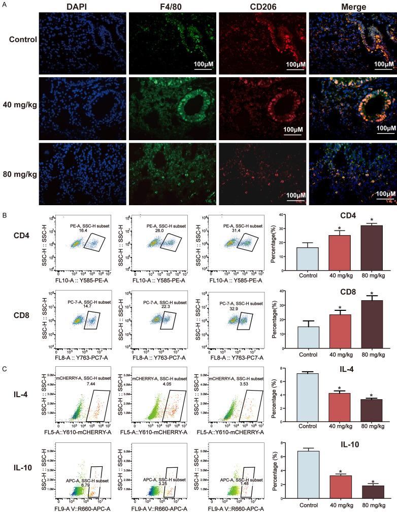 Matrine suppresses lung cancer metastasis via targeting M2-like tumour ...