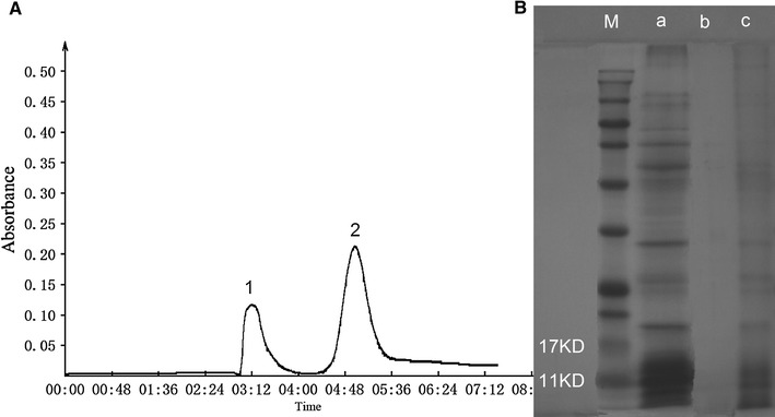 Fig. 3