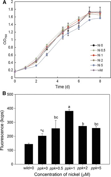 Fig. 2