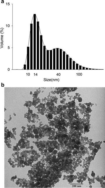 Fig. 5