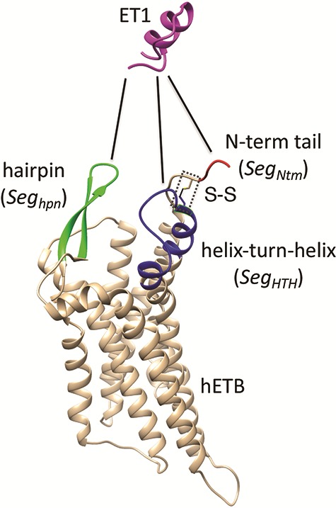 Fig. 6