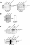 FIG. 2.