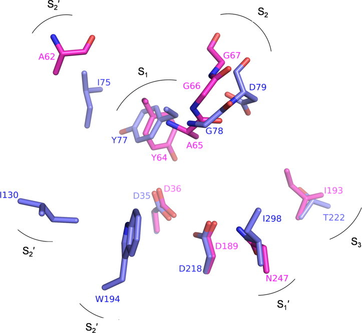 Fig. 8