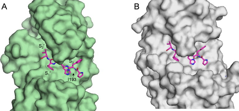 Fig. 9