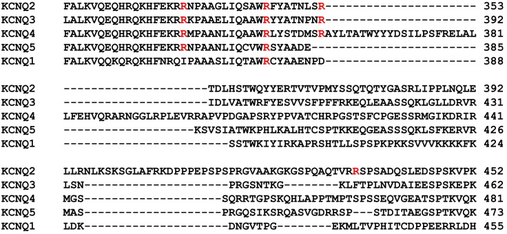 Figure 5—figure supplement 3.