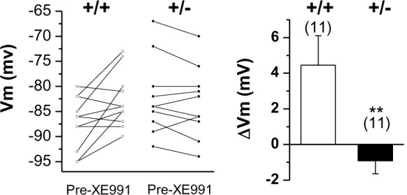 Figure 3—figure supplement 1.