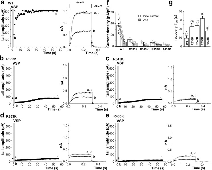 Figure 7—figure supplement 2.