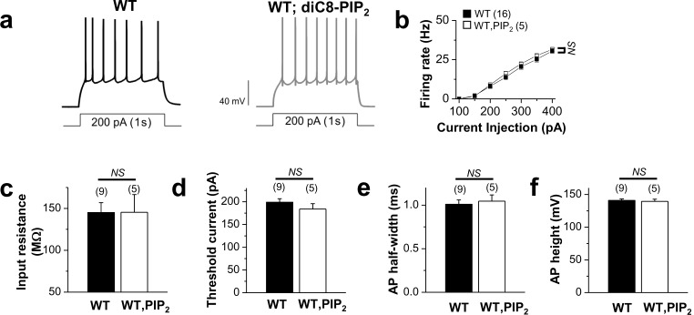 Figure 7—figure supplement 4.