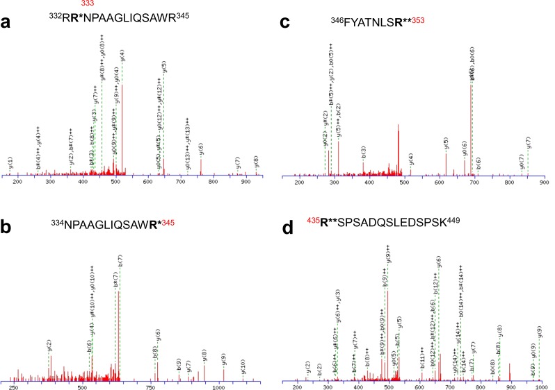 Figure 5—figure supplement 2.