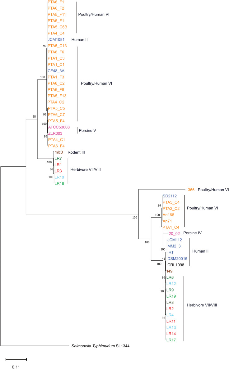 FIGURE 6