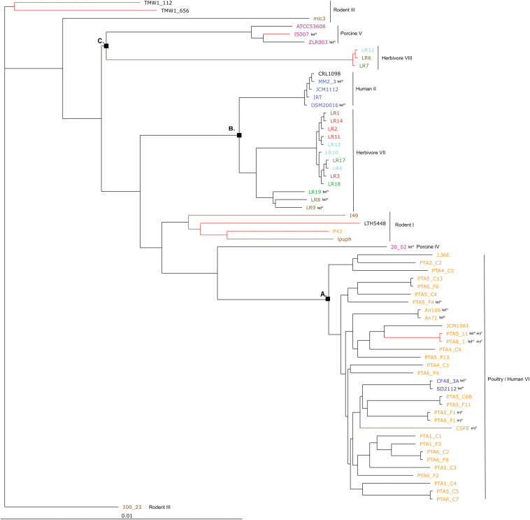 FIGURE 3