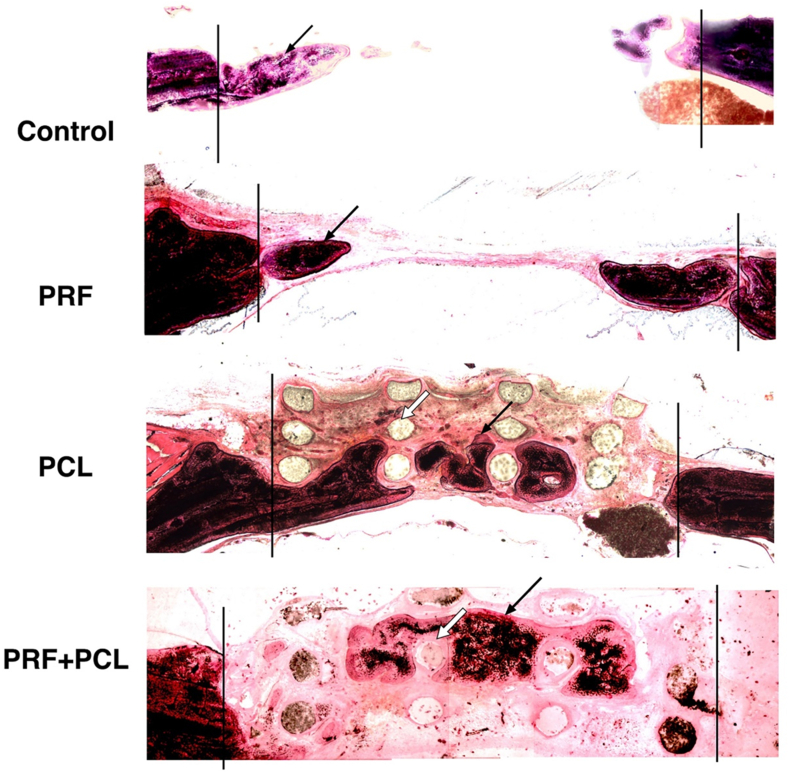 Figure 4