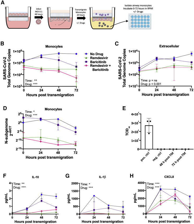 Figure 6