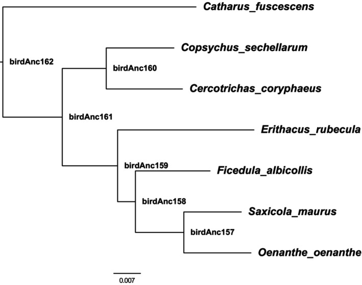 FIGURE 2