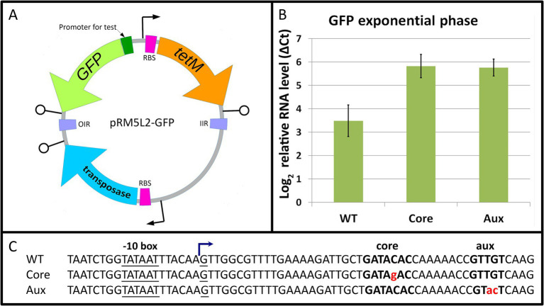 Figure 7