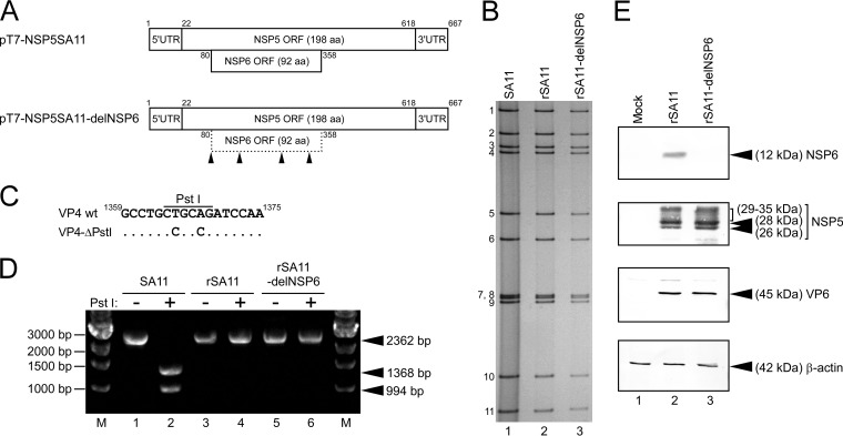 FIG 1