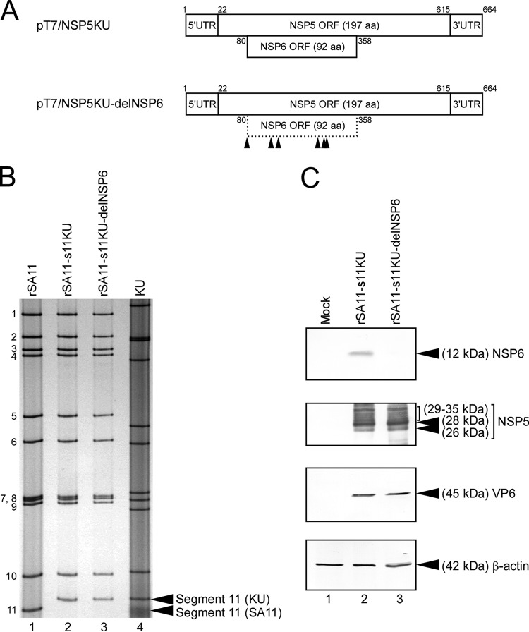 FIG 3