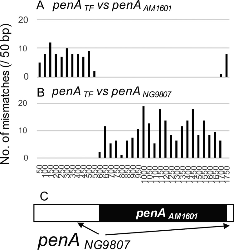 FIG 1