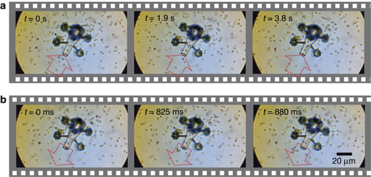 Figure 5