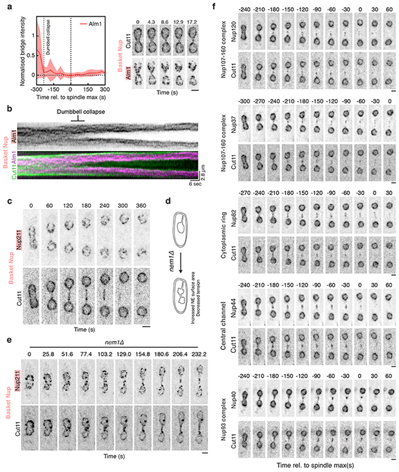 Extended Data Figure 4