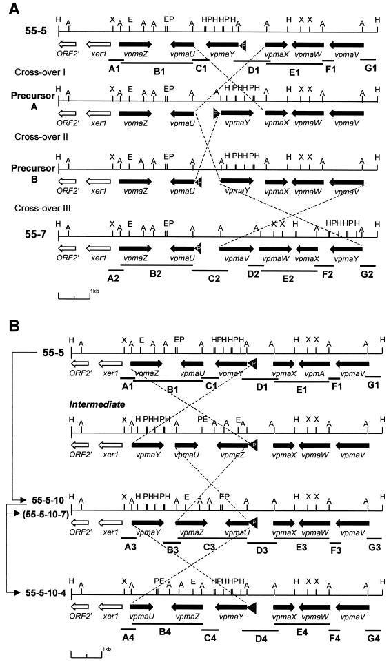 FIG. 4.