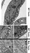 FIG. 6.