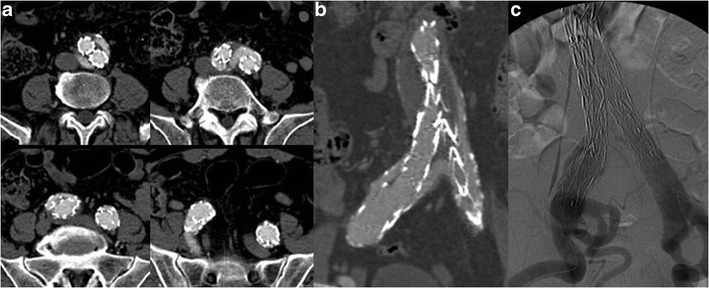 Fig. 10