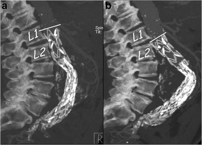 Fig. 7