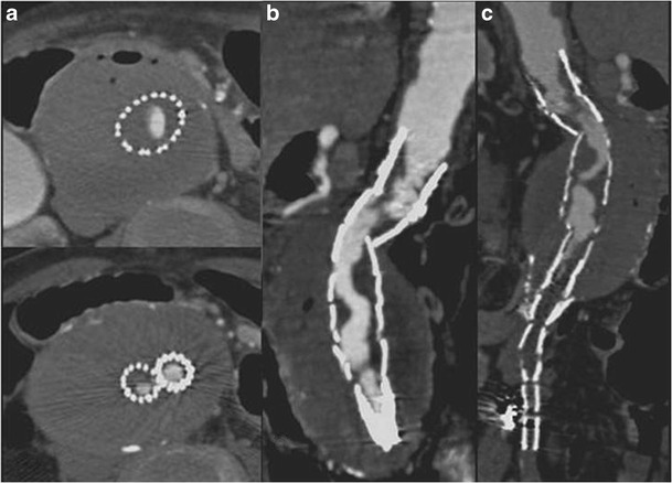 Fig. 5