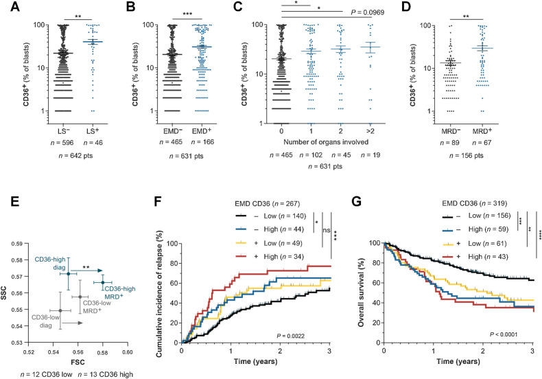 Figure 7. CD36 is positively associated with extramedullary disease in AML patients. A, Percentage of CD36+ blasts in the BM of patients with (LS+) or without (LS−) leukocytosis at diagnosis (n = 596 LS−; n = 46 LS+). B, Percentage of CD36+ blasts in the BM of patients presenting (EMD+, n = 166) or not (EMD−, n = 465) clinical signs of EMD at diagnosis. C, Percentage of CD36+ blasts in the BM of patients depending on the number of organs involved in EMD (n = 465 for 0 organs; n = 102 for 1 organ; n = 45 for 2 organs; n = 19 for more than 2 organs). D, Percentage of CD36+ blasts in the BM of patients at diagnosis, exhibiting MRD or not after chemotherapy (n = 89 MRD−; n = 67 MRD+). E, FSC/SCC analysis on blasts from CD36 low (n = 12) and CD36 high (n = 13) patients followed up from diagnosis to MRD. F, Cumulative incidence of relapse in TUH patients according to CD36 expression and presence of EMD at diagnosis (n = 267). G, Overall survival in TUH patients according to CD36 expression and presence of EMD at diagnosis (n = 319). Values are represented as mean ± SEM. A, B, and D, Mann–Whitney test. C, Ordinary one-way ANOVA with Tukey multiple comparisons test. E, Wilcoxon matched-pairs signed rank test. F and G, Log-rank test. *, P < 0.05; **, P < 0.01; ***, P < 0.001; ****, P < 0.0001; ns, not significant.