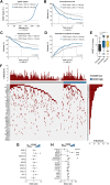 Figure 1. CD36 expression in blasts at diagnosis is associated with human AML progression and relapse. A, AML patients from the TUH cohort (1,273 patients) were classified as low and high CD36 expressers (CD36-expressing blasts <20%, low, n = 866 and CD36-expressing blasts ≥20%, high, n = 407). B, Kaplan–Meier curve for event-free survival according to CD36 expression (CD36 low, n = 298; CD36 high, n = 136). C, Kaplan–Meier curve for overall survival according to CD36 expression (CD36 low, n = 298; CD36 high, n = 136). D, Cumulative incidence of relapse according to CD36 expression (CD36 low, n = 254; CD36 high, n = 105). B–D, log-rank test. E, Box plot of CD36 expression on blasts according to cytogenetic risk (n = 1,191). Box plot shows the 10th percentile, first quartile, median, third quartile, and 90th percentile. Mann–Whitney test was performed. F, Landscape of somatic mutations detected in diagnostic samples (n = 224) by sequencing with a panel of 52 genes. The number of mutations for each patient is shown at the top, whereas the frequencies of each mutation are located at the right. G, Forrest plot showing mutation enrichment at AML diagnosis based on blast CD36 level by logarithmic odds ratio. Fisher exact test was performed (P = 0.029 for FLT3). H, Forrest plot showing enrichment of recurrent cytogenetic anomalies at AML diagnosis according to CD36 expression by logarithmic odds ratio. Fisher exact test was performed (P < 0.0001 for t(15;17); P = 0.0008 for t(9;22); P = 0.0002 for t(8;21); P = 0.044 for t(11q23;x)). The circles (in the middle of the error bars) represent the odds ratios. The error bars represent 95% confidence interval of the odds ratio. *, P < 0.05; ***, P < 0.001; ****, P < 0.0001.