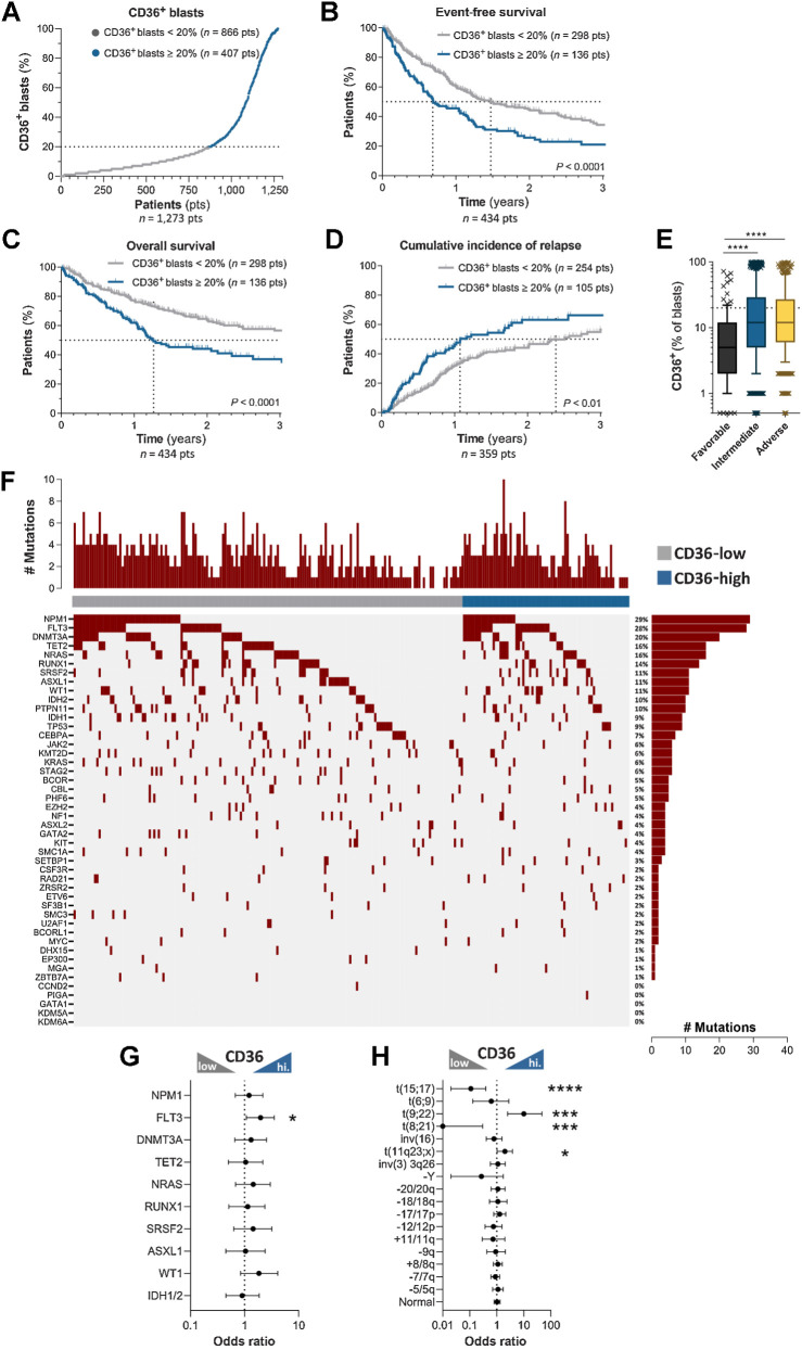 Figure 1. CD36 expression in blasts at diagnosis is associated with human AML progression and relapse. A, AML patients from the TUH cohort (1,273 patients) were classified as low and high CD36 expressers (CD36-expressing blasts <20%, low, n = 866 and CD36-expressing blasts ≥20%, high, n = 407). B, Kaplan–Meier curve for event-free survival according to CD36 expression (CD36 low, n = 298; CD36 high, n = 136). C, Kaplan–Meier curve for overall survival according to CD36 expression (CD36 low, n = 298; CD36 high, n = 136). D, Cumulative incidence of relapse according to CD36 expression (CD36 low, n = 254; CD36 high, n = 105). B–D, log-rank test. E, Box plot of CD36 expression on blasts according to cytogenetic risk (n = 1,191). Box plot shows the 10th percentile, first quartile, median, third quartile, and 90th percentile. Mann–Whitney test was performed. F, Landscape of somatic mutations detected in diagnostic samples (n = 224) by sequencing with a panel of 52 genes. The number of mutations for each patient is shown at the top, whereas the frequencies of each mutation are located at the right. G, Forrest plot showing mutation enrichment at AML diagnosis based on blast CD36 level by logarithmic odds ratio. Fisher exact test was performed (P  =  0.029 for FLT3). H, Forrest plot showing enrichment of recurrent cytogenetic anomalies at AML diagnosis according to CD36 expression by logarithmic odds ratio. Fisher exact test was performed (P < 0.0001 for t(15;17); P  =  0.0008 for t(9;22); P = 0.0002 for t(8;21); P = 0.044 for t(11q23;x)). The circles (in the middle of the error bars) represent the odds ratios. The error bars represent 95% confidence interval of the odds ratio. *, P < 0.05; ***, P < 0.001; ****, P < 0.0001.