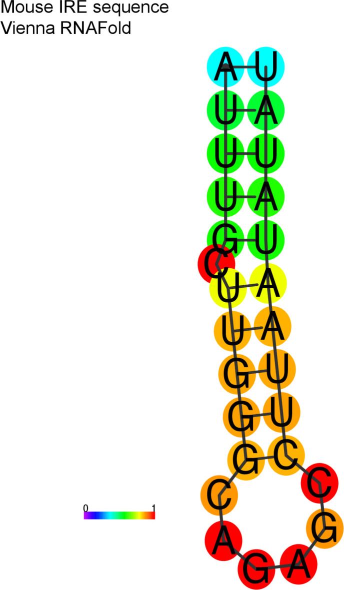 Figure 4—figure supplement 2.