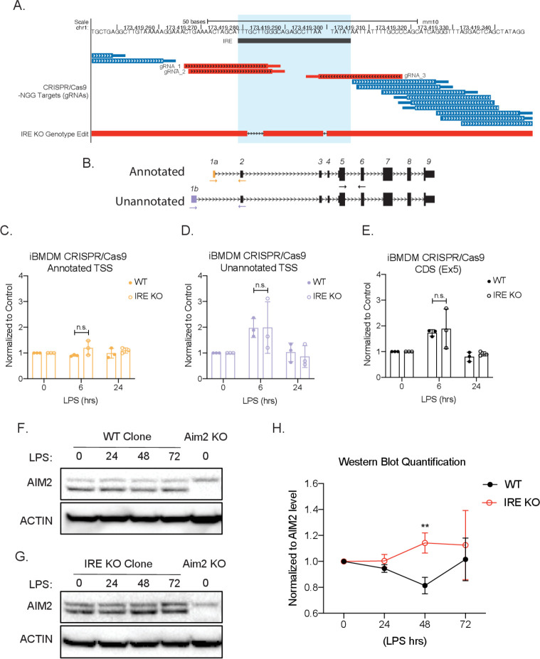 Figure 4—figure supplement 4.