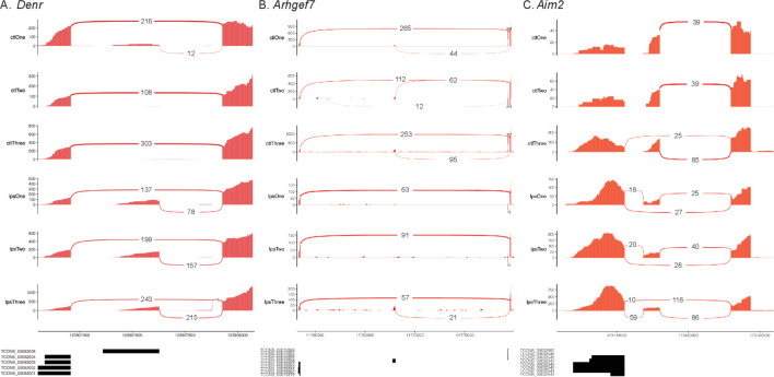 Figure 1—figure supplement 9.