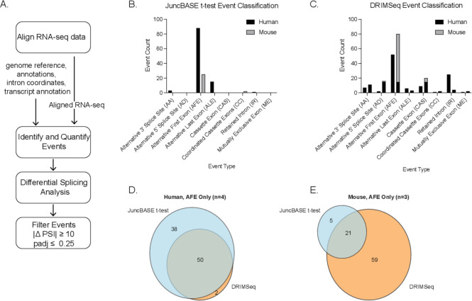 Figure 1—figure supplement 1.