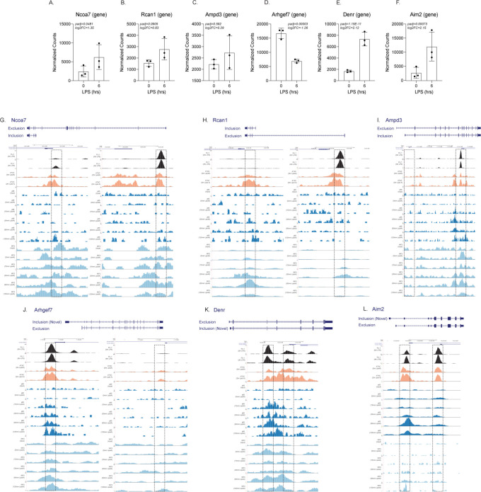 Figure 3—figure supplement 2.