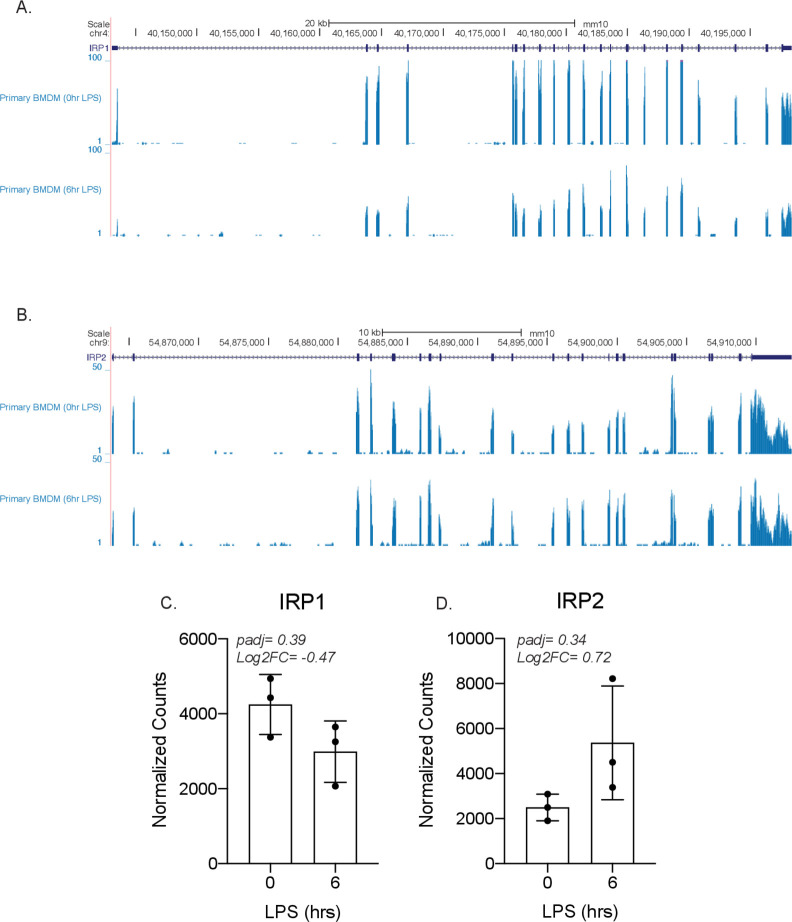 Figure 4—figure supplement 3.