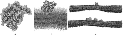 Fig. 2