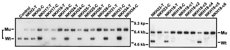 FIG. 1