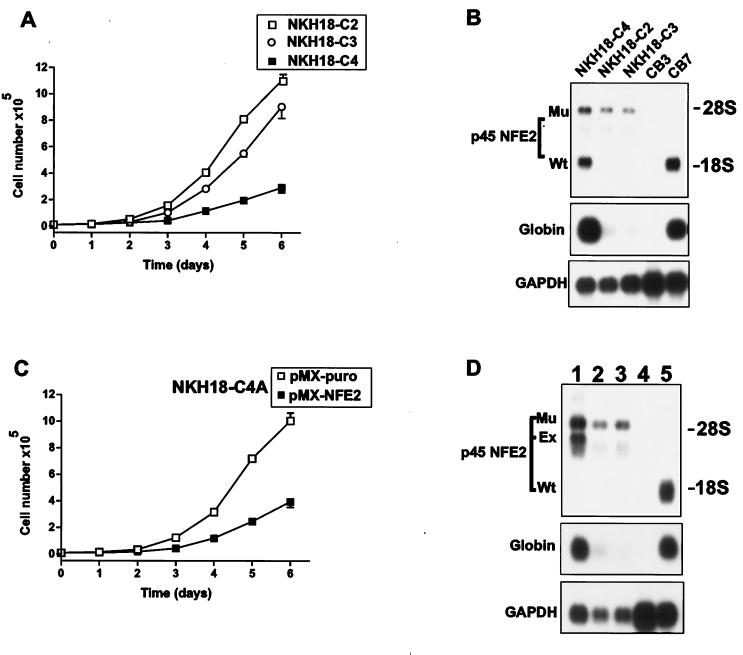 FIG. 4