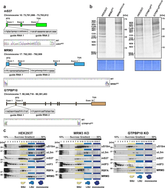 Extended Data Fig. 10