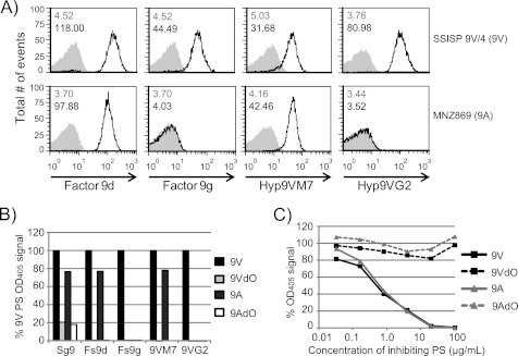 FIGURE 4.