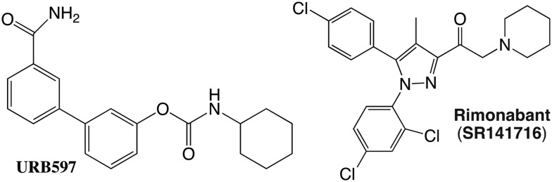 Fig. 11