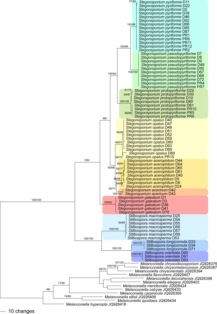 Fig. 3