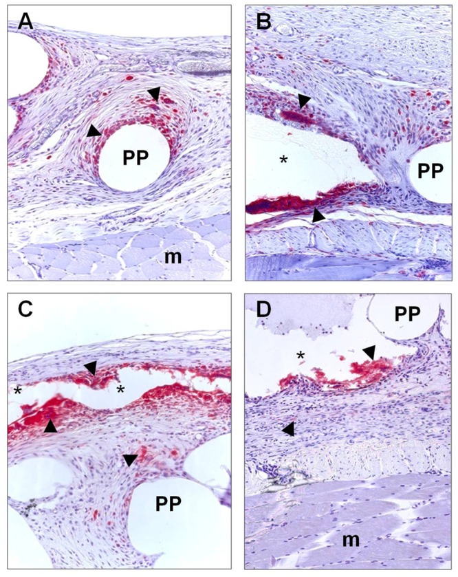 Fig 7