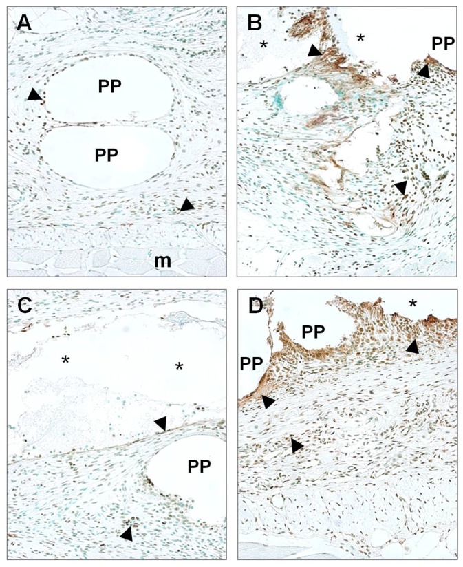 Fig 8