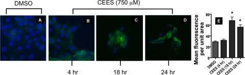 Fig. 8.