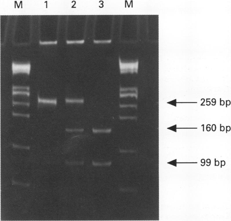 graphic file with name clinmolpath00011-0025-a.jpg