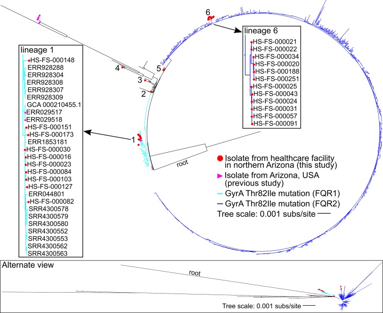 Fig. 2.